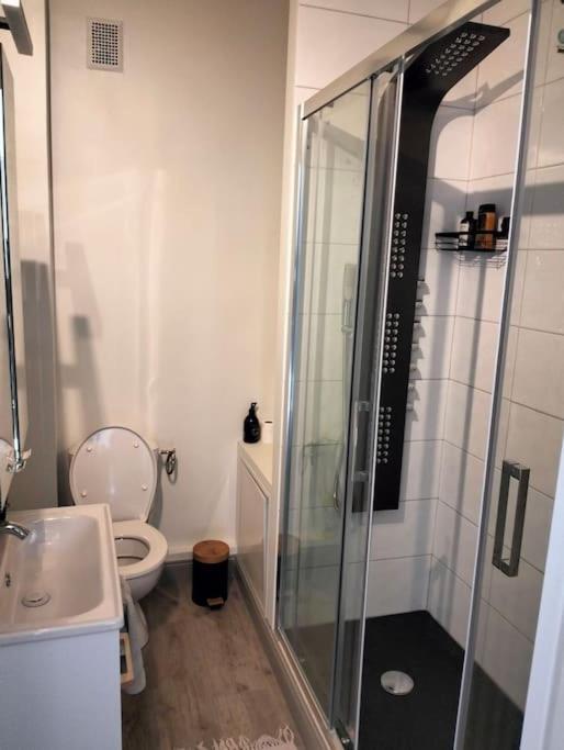 Charmant Logement, Vue Sur Toulouse 1 Min Du Metro Bagian luar foto